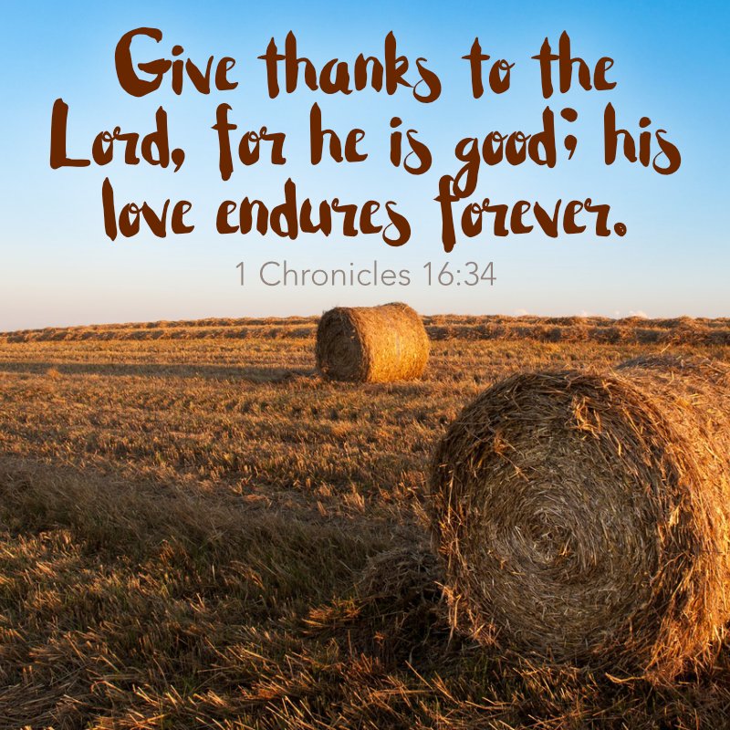 LosAltosUMC's tweet photo. God's love endures forever! Hallelujah!
#Thanksgiving #givethanks https://t.co/Z7ibOCP7HX