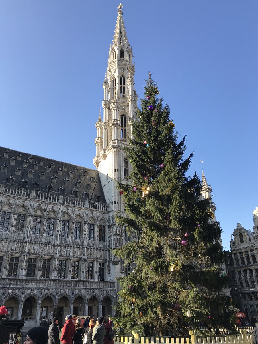 vastenaekel's tweet photo. J-2 #lesplaisirsdhiver #Bruxelles #marchedenoel #sapin #grandplace #feeries @SSlabbaert @visitbrussels @VilleBruxelles @rbc_bhg #🎄 https://t.co/W0y4LzkZAK