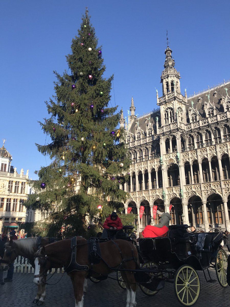 vastenaekel's tweet photo. J-2 #lesplaisirsdhiver #Bruxelles #marchedenoel #sapin #grandplace #feeries @SSlabbaert @visitbrussels @VilleBruxelles @rbc_bhg #🎄 https://t.co/W0y4LzkZAK