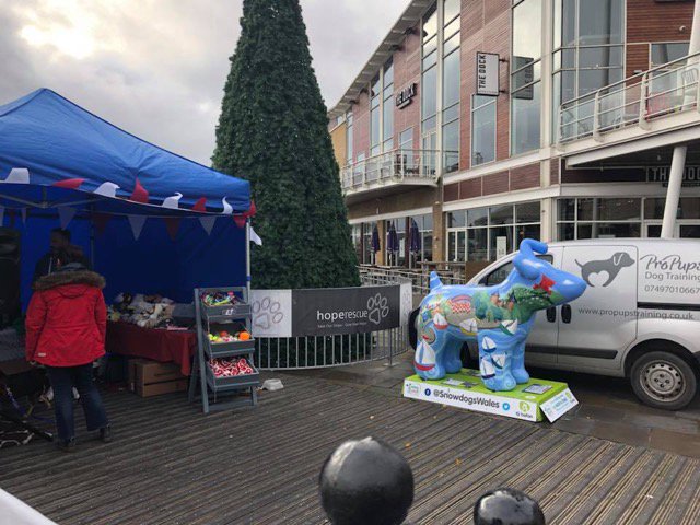 HusQuay the Merdog tweet media