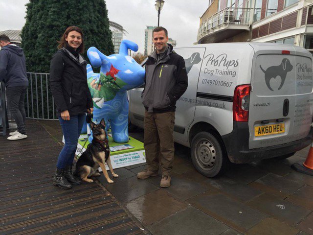 HusQuay the Merdog tweet media