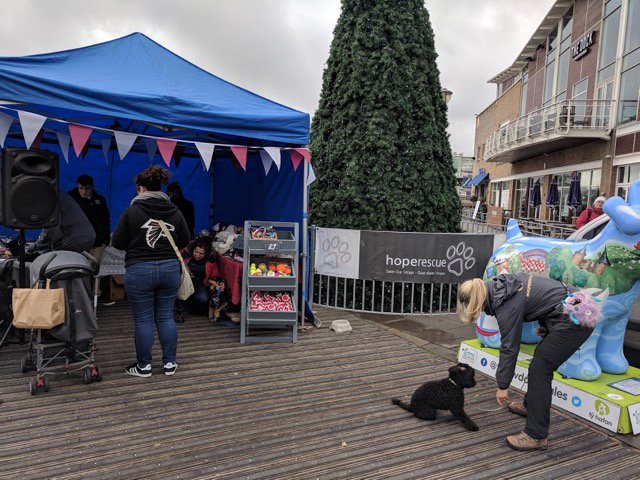 HusQuay the Merdog tweet media