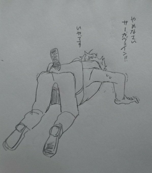 この体制的には下なんだけど実際優勢な状態を逆マウントと呼んでいるんだけど好きなんですよねこれ 