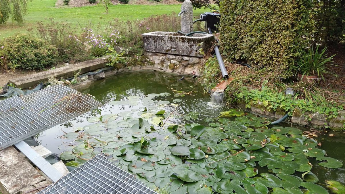 _AquaticScience's tweet photo. #nospartenairesontdutalent avec une modification de système de filtration afin d’installer un shark bead, phosphosorb et AS UV Synergy (stérilisateur uv redoutable avec photocatyle) 🐟 Réalisation : Léman Aquatique. #bassin #koï #aquaticscience https://t.co/zfxVZ47cKu