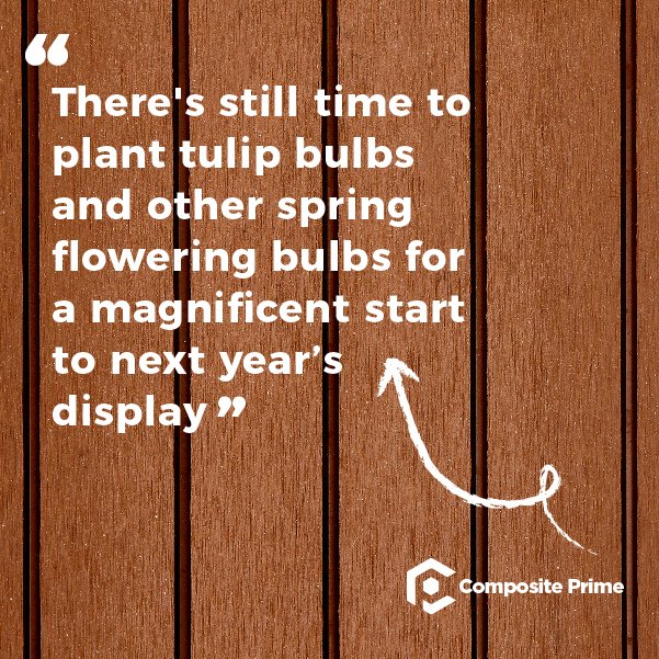 Composite Prime tweet media