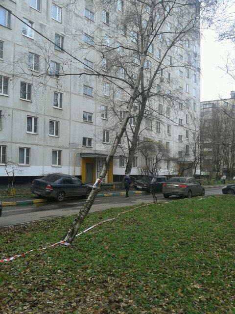 rs864's tweet photo. @Taisiya00688357 @VorobievAndrey Добрый день! Работы по указанному вами адресу осуществлялась специалистами МБУ "КБиО" участка КРЗ. Н�� основании выданного порубочного билета, по обращениям жителей. Данные деревья являлись аварийными. https://t.co/0NbjtQBdxE