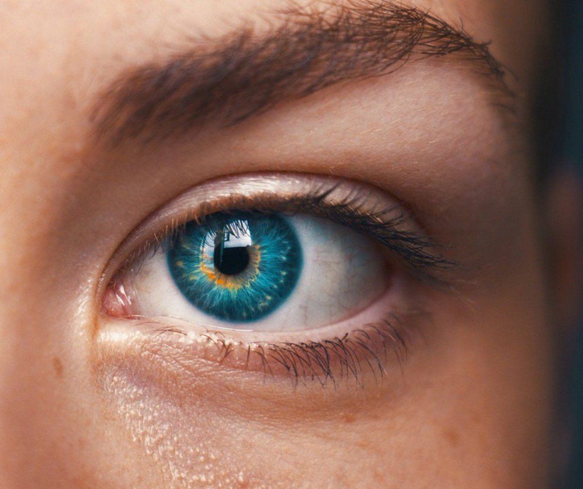 LashLust's tweet photo. Love detail? Looking for a flexible direction to get that work life balance on point? #surreylashtraining #eyelashtraining #dowhatyoulove #lashtraining lasht #lashtrainingsurrey #lashtraininghampshire #traininggoals https://t.co/k5rWzLB8Y9