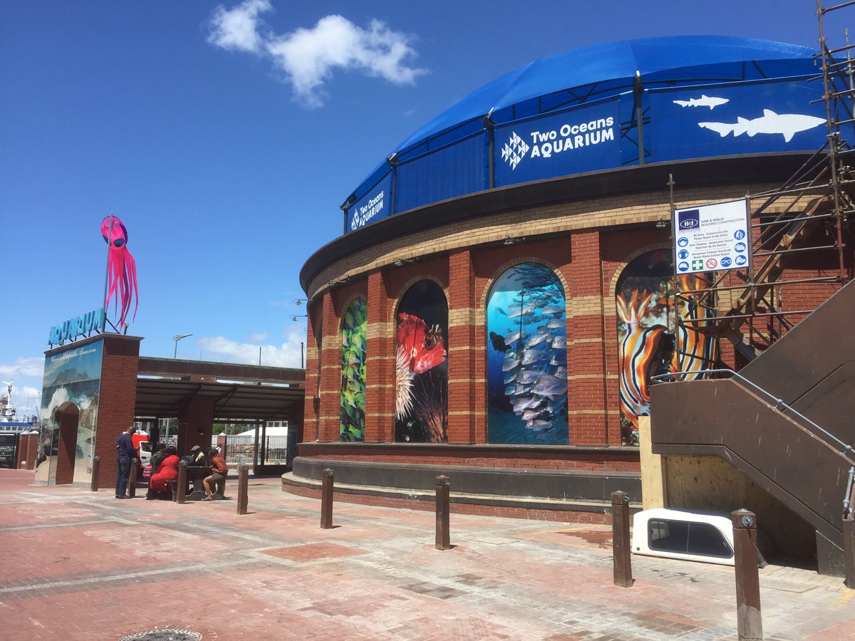2OceansMiked's tweet photo. The day the contractors moved off site!!! @2oceansaquarium https://t.co/vCYFyiCEQ9
