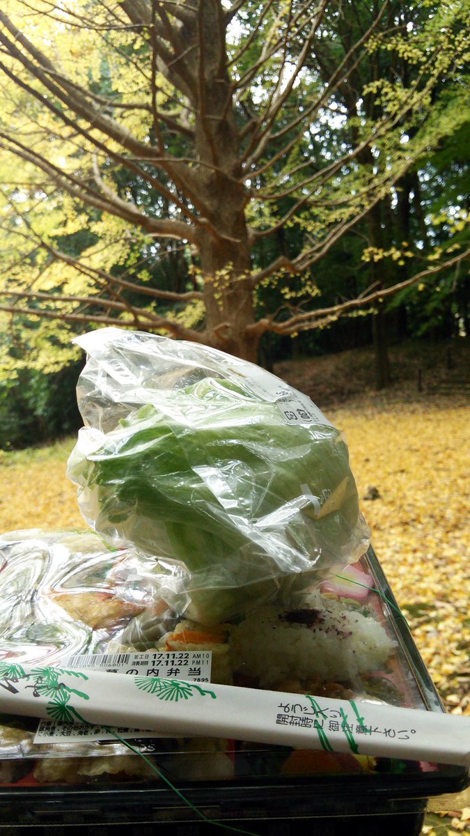 アーガイム tweet media