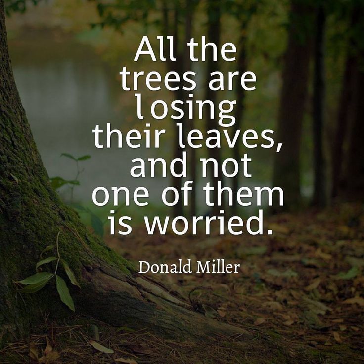 _ananyam's tweet photo. Time to restore the faith. Time to plant a tree.
#EveryTreeCounts
#trees
#treesfortweets
#Plants
#Wildlife
#Nature
#NatureLover
#Quotes
@SiTiShield https://t.co/HunQrLbQ1c