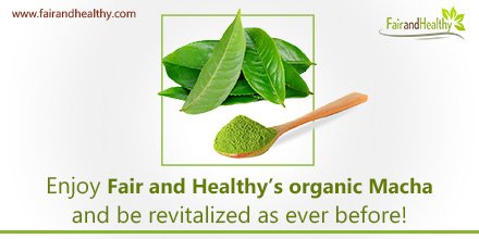 Fairandhealthy's tweet photo. Enjoy Fair and Healthy’s organic Matcha and be revitalized as ever before! Visit https://t.co/vfPaFIbRu2 for more details. #matcha #matchaproducts #fairandhealthy #naturalproducts #matchatea #orgainicfood https://t.co/EtT87tFtEL