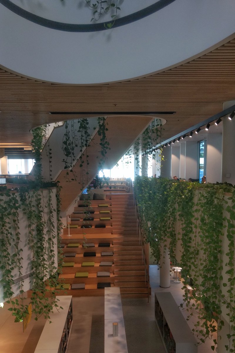 DrawnToCities's tweet image. Letting the light spill across book filled shelves and stairs to sit and read
#woollahralibrary