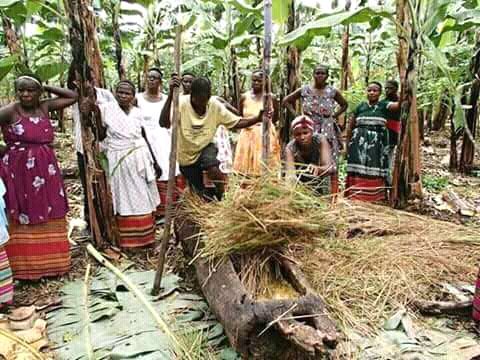 mozesmutungi256's tweet photo. if you grew up from ankole, you probably have ever drunk on this local brew #eshande that is the juice squeezed out of ripe bananas locally called #embire #musa and spear grass is used in the process. #ankole @WhiteheadComm @Kansiime256 @don_atngz @AhaJonathan @MarcusKwikiriza https://t.co/oXov7c5B9J