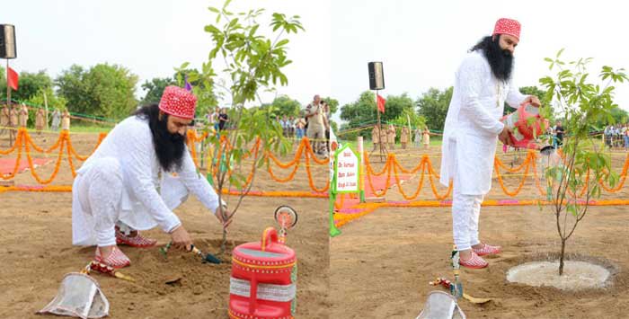 DrMSGfc's tweet photo. Dera Sacha Sauda holds world record in the field of tree plantation. #EveryTreeCounts
केवल Dr. MSG के जन्मदिवस पर ही डेरा अनुयायी 4 करोड़ से ज्यादा पेड़ पौधे लगा चुकें है। https://t.co/Ovi3C1Lxap