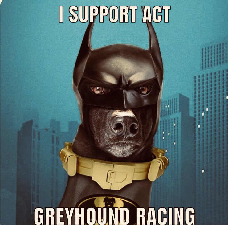 NGRU2015's tweet photo. The NGRU are proud supporters of the @Canberra_Greys please show your support by changing your Facebook profile pic to one of these. https://t.co/qpNey6RGE4