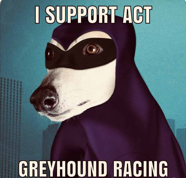 NGRU2015's tweet photo. The NGRU are proud supporters of the @Canberra_Greys please show your support by changing your Facebook profile pic to one of these. https://t.co/qpNey6RGE4