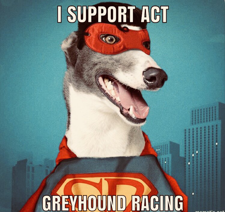 NGRU2015's tweet photo. The NGRU are proud supporters of the @Canberra_Greys please show your support by changing your Facebook profile pic to one of these. https://t.co/qpNey6RGE4