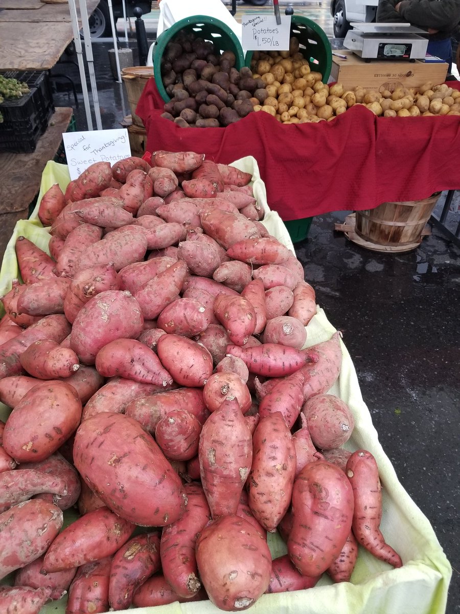 cherrylanefarms's tweet photo. For Thanksgiving shoppers we have fresh cut #roman #lettuce  #swisschard #Brussels just dug #sweetpotato yukon #potato, #kohlrabi  &amp; #romaneso #califlower.  So stop on by Cherry Lane Farms @UnSqGreenmarket today &amp; have a Great Holiday:^) https://t.co/b7Xsl0L7WG