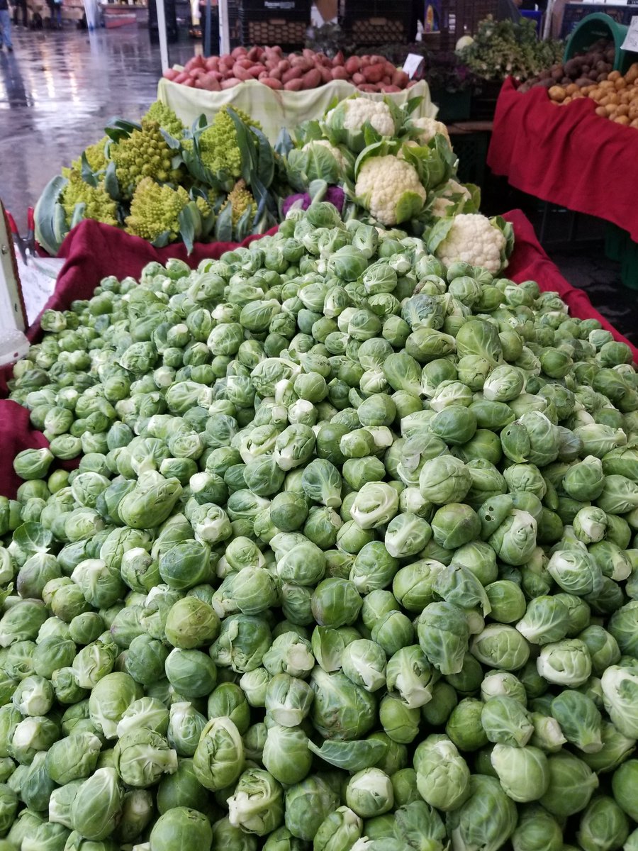 cherrylanefarms's tweet photo. For Thanksgiving shoppers we have fresh cut #roman #lettuce  #swisschard #Brussels just dug #sweetpotato yukon #potato, #kohlrabi  &amp; #romaneso #califlower.  So stop on by Cherry Lane Farms @UnSqGreenmarket today &amp; have a Great Holiday:^) https://t.co/b7Xsl0L7WG