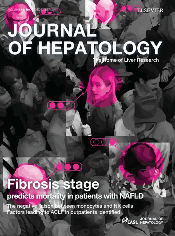 JHepatology's tweet photo. Not an expert?........Not a problem!

Check out the lay version of our latest issue.

https://t.co/1rnwc2srEb https://t.co/AevVCyr7IH