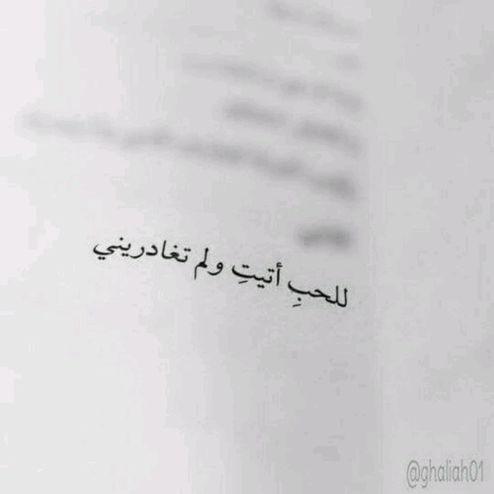 mohamed fahkre zaki (@safina201012) on Twitter photo 