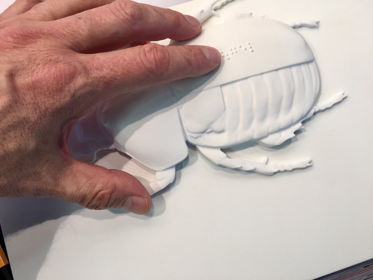 go_inclusive's tweet image. Auf der #Exponatec Köln zeigen wir Ihnen unser neues interaktives Tastmodell mit #Audiodeskription. Folgen Sie unserer Initiative #goinclusive für #Barrierefreiheit im #Museum #Inklusion #humancentreddesign