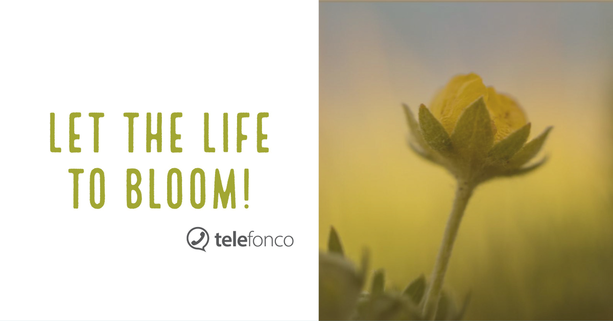 telefonco's tweet photo. Let the life to bloom! 

Find more at https://t.co/AcyfCy04RT

#Telefonco #flowers #flower #petal #petals #nature #beautiful #love #pretty #plants #blossom #sopretty #spring #summer #flowerstagram #flowersofinstagram #flowerstyles_gf #flowerslovers #flowerporn   #floweroftheday https://t.co/oNHg3NzlkA