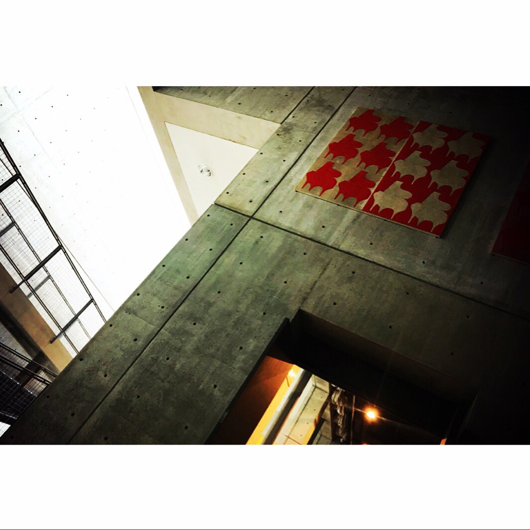 yn_camera's tweet photo. 緊張も不安も.音楽とヒカリの中に閉じ込めて.最後にはどうしようもなく溢れてしまう場所.
#軽音 #ライブ #照明 https://t.co/8ixrVwkmfF