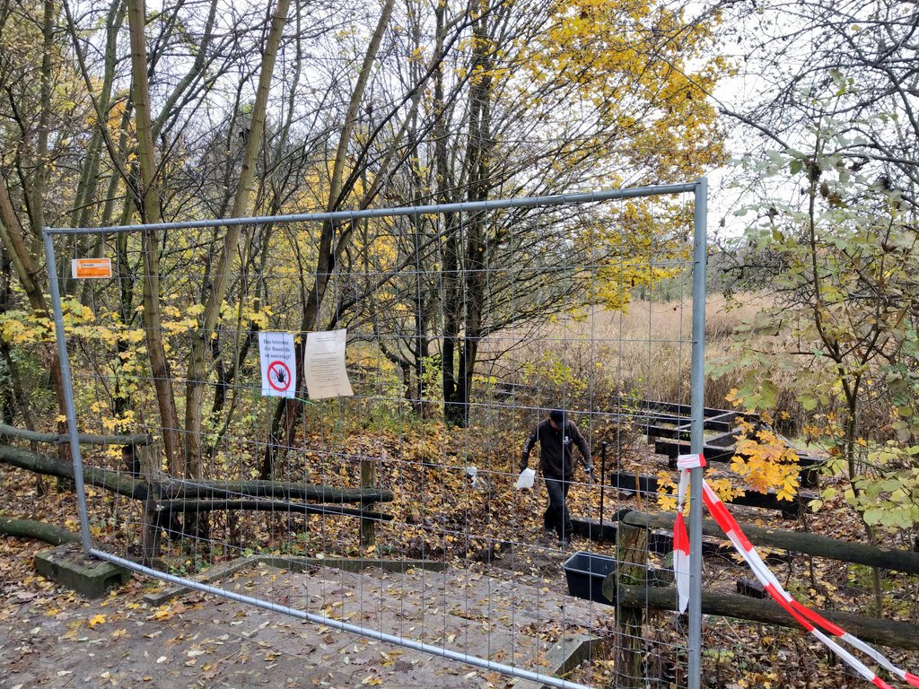 Der Steg um den #RixdorferTeich in der #Hasenheide wird gerade entfernt - kommt ein neuer, <a href="/derjochen/">Jochen Biedermann</a>?
cc <a href="/rogerwilc00/">Roger 'Gömböc' Wilco</a> <a href="/KiezInAktion/">Kiez In Aktion</a> <a href="/hasenhde/">Hasenheide</a> #Neukölln #Berlin