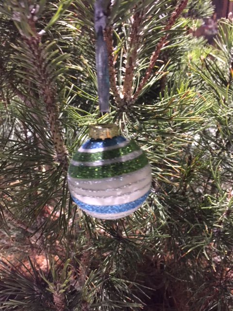 SidTheShrub's tweet photo. I'm still working on my selfie game, but I manged to snap pictures of the new ornaments brought to me by @CBCEyeopener listeners. #shrubie https://t.co/2KQwlSQa0O