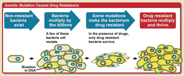 TruffleMedia's tweet photo. #AntibioticResistance #agabx commentary "If you had a billion dollar grant to fight bacterial antibiotic resistance in children, where would you spend it?" by
Dr. Richard Raymond in @Feedstuffs https://t.co/TrkanWB7JH @NIAA_comm https://t.co/j5YSJzEtqe