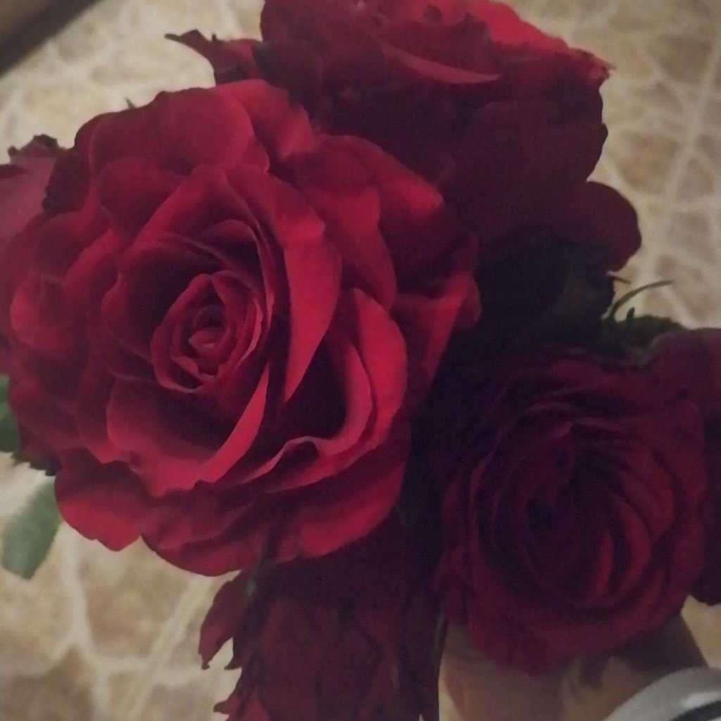 norftma772's tweet image. اهدي الورد للورد 
ربي  علمني حرف 
وصرت اكتب البسملة  
وجازني رد الفعل 
من ردد بالحمد 
صار الشكر خير اله

مساء الخير يااهل الخير