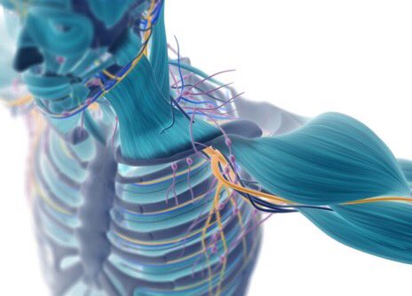 TJQPNI's tweet image. @rebeccajshipley and I via podcast @NakedScientists on #nervegrafting #conduits #computermodelling nakeddiscovery.com/download/audio…