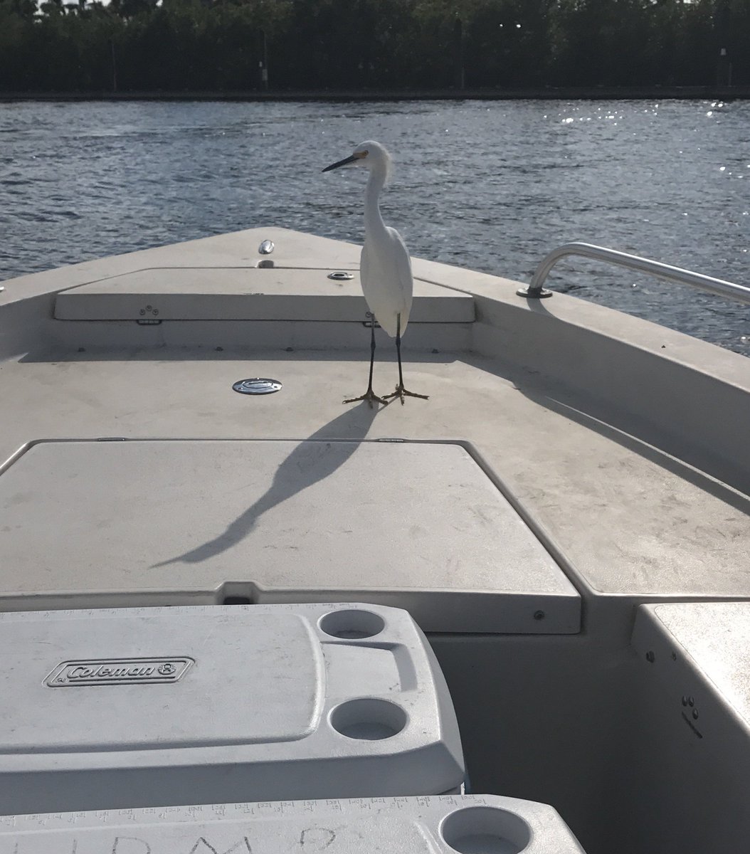 EarthBalanceEco's tweet photo. Water sampling is better when friends tag along! #EarthBalance1 https://t.co/mdBAiyhoa3