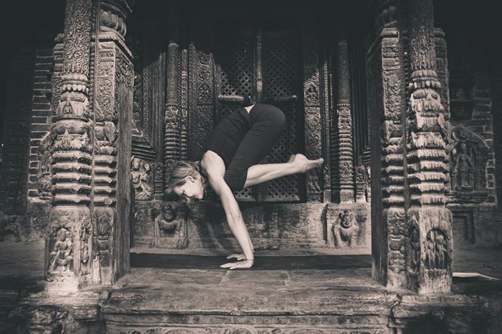 NoraWendel's tweet photo. Ellen - Yogi https://t.co/YhF7MpNcWF https://t.co/ujudxt6gvT