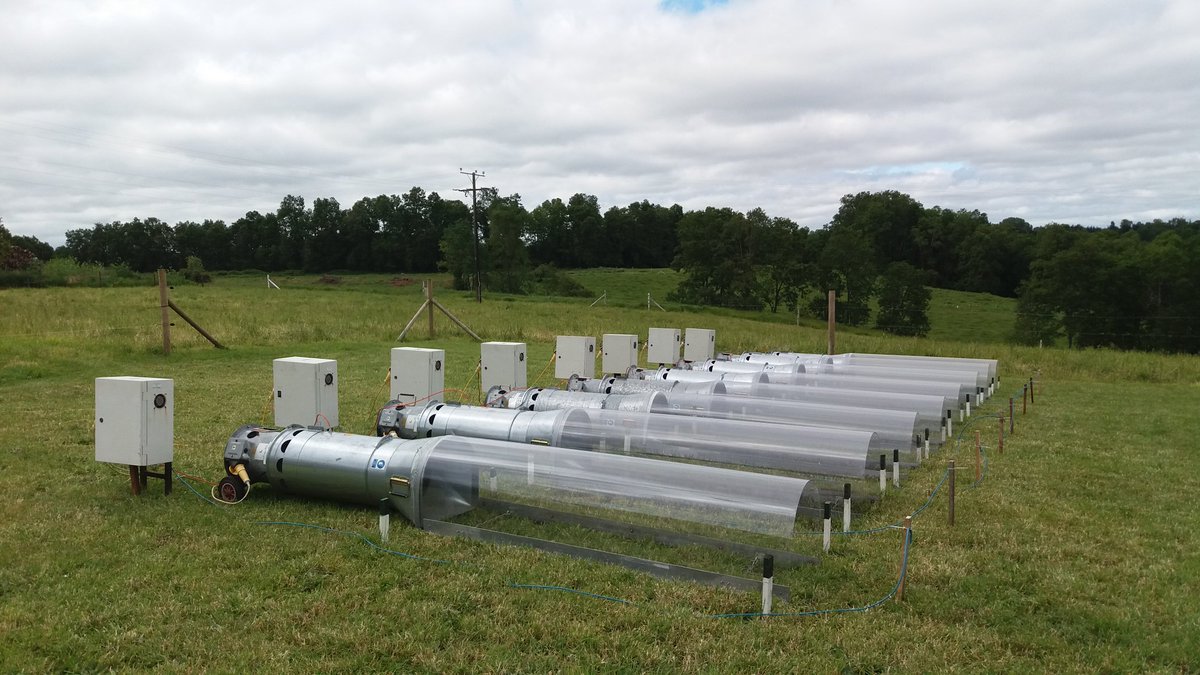 Iniciando nuevo ensayo de volatilzacion de amoníaco de proyecto Fondecyt evaluando medidas de mitigacion en purines y urea