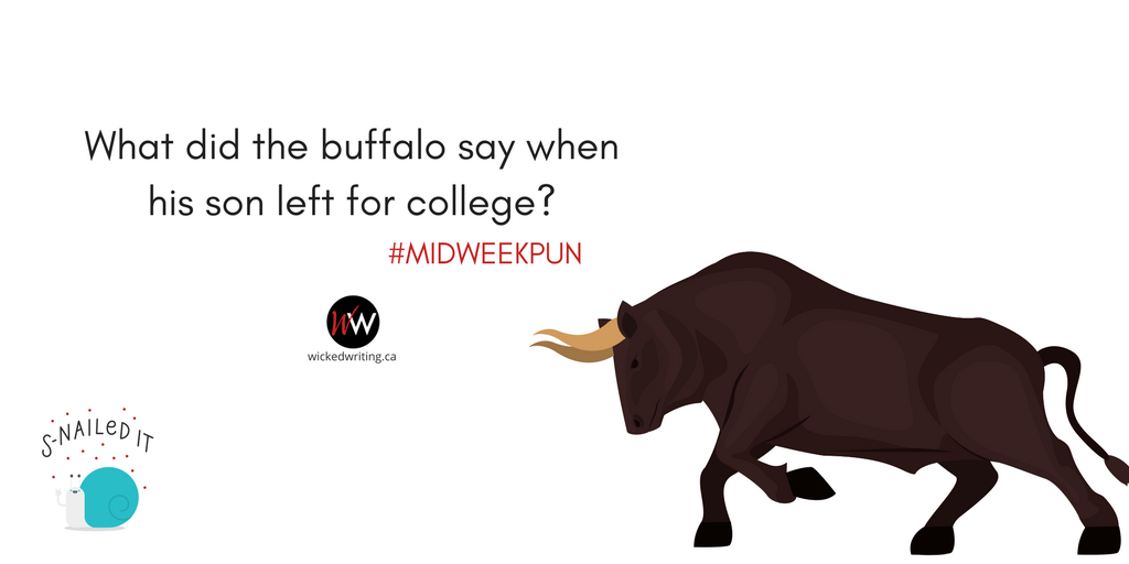 WickedWriting's tweet photo. What did the buffalo say when his son left for college? Bison. Just a little #MidWeekPun to get you through your week! https://t.co/nZ9dUjo2H8