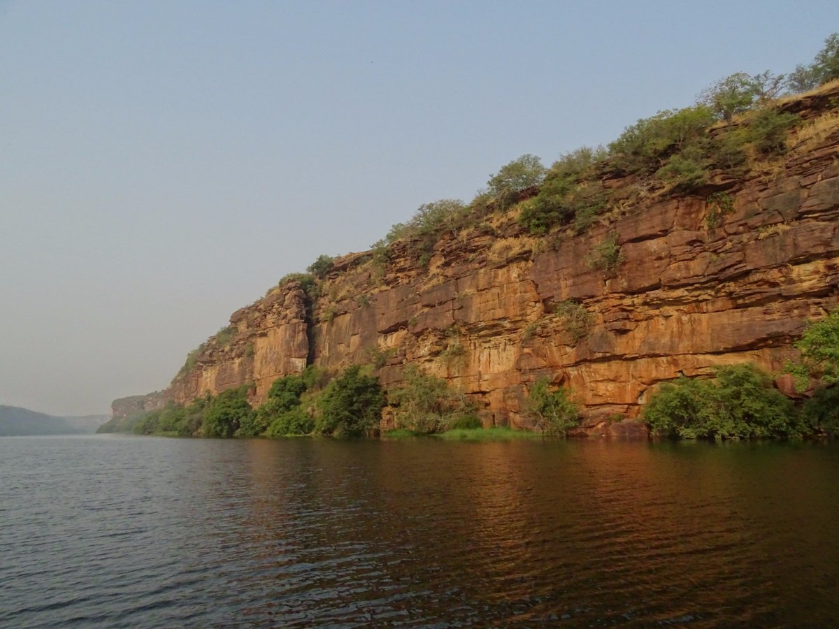 Your Local Cousin tweet media