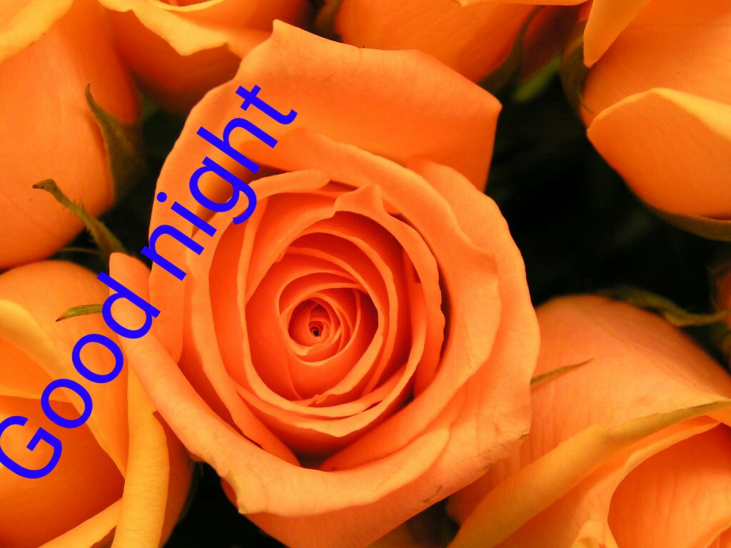satheesh779's tweet photo. https://t.co/NieEUuiYSb
