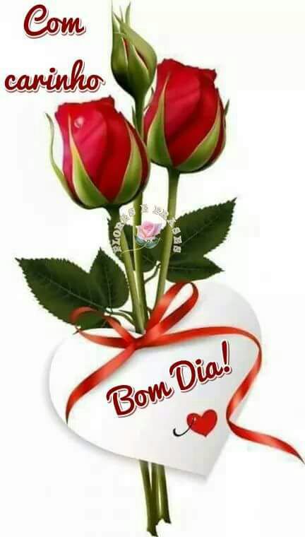 Massue #TIMBETA (@krocatt) on Twitter photo 