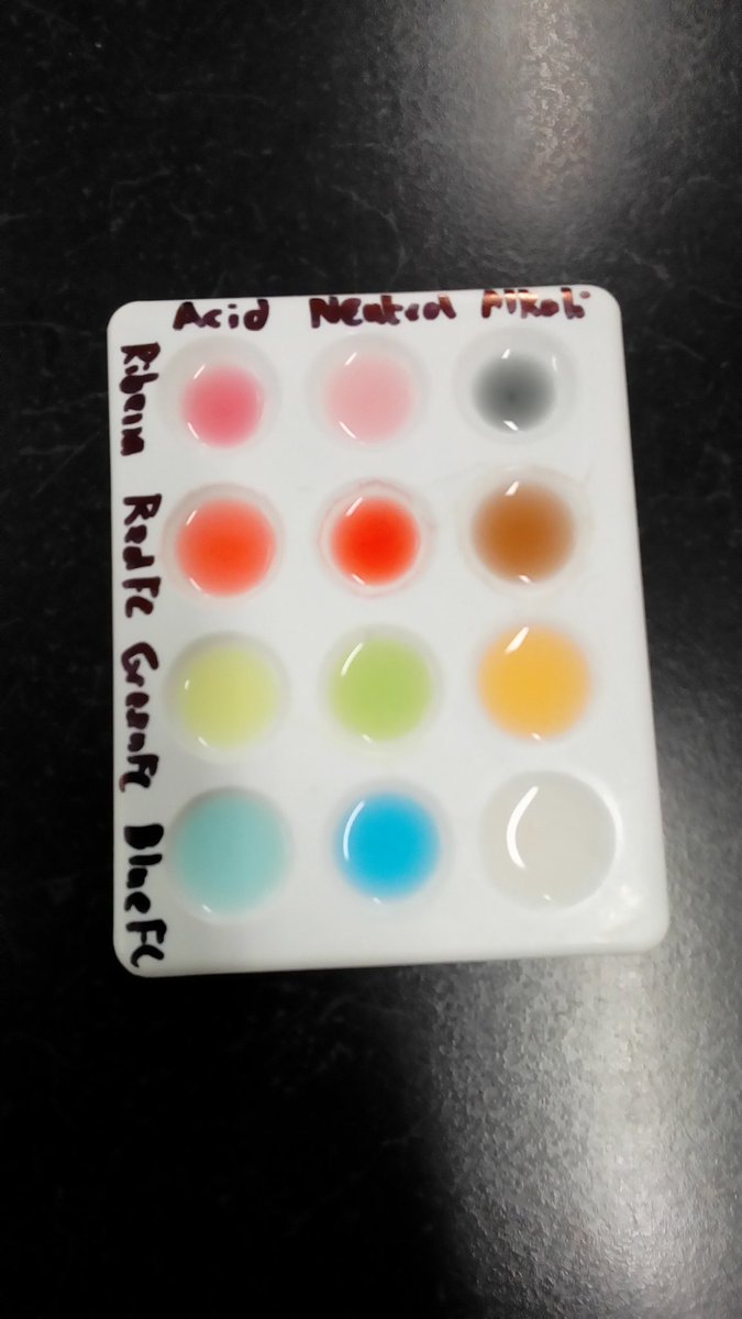 SciMaes's tweet photo. Year 7 making indicators #year7maes @SciMaes https://t.co/ZCLXiyxYaZ
