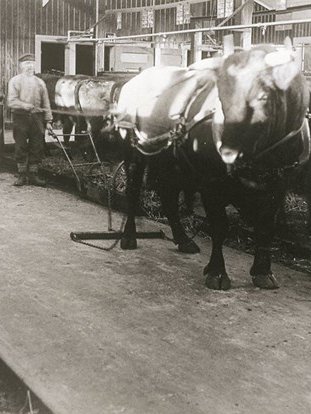 RossHamiltonG's tweet photo. The worlds first Automatic Scrapper? C. 1900 @DeLaval #HamraFarm #HamraGรฅrd #TeamDairy #GrassToMilk #AgIE #Farm #WinterMilk https://t.co/ASpBWvuZZi
