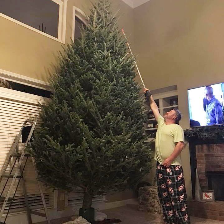 WnR_treefarm's tweet photo. Thank you Allison &amp; family for getting TWO awesome trees from #wilburandrudys 🎄 Can't wait to see this beauty decorated! https://t.co/tBHxJez3jc https://t.co/9PURakbtBM
