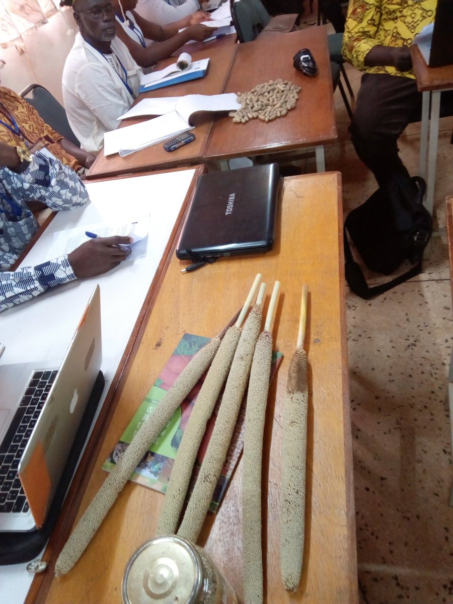 Accès aux #semencespaysannes, une solution pour l'agriculture africaine. Atelier de restitution.<a href="/caravanecglte/">Convergence Globale des Luttes Terre et Eau</a> <a href="/rochkaborepf/">Roch KABORE</a>