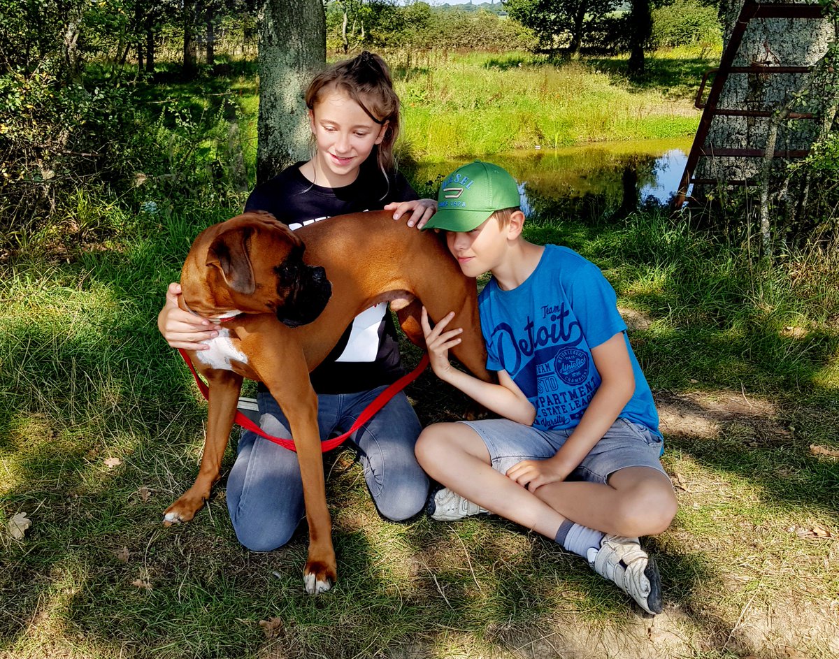 cloud9vets's tweet photo. #Puttosleep should my children be present? Don't underestimate your kids, they love their pet as much as you if not more! Be honest ensure they know the difference between sleep and death, at-home euthanasia allows them to see a peaceful end for a faithful friend #pets #homevet https://t.co/n8KM2WyNnj