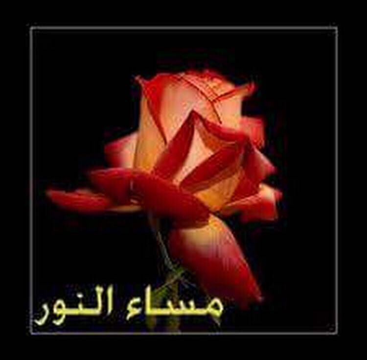 southbaby21 on Twitter "مساء النور والسرور…