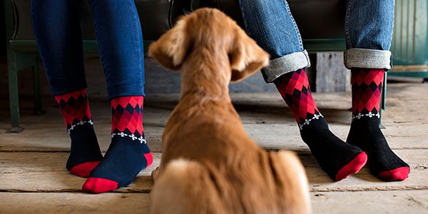 These limited-edition Holiday Socks have the performance tech that matters on winter rides. Get yours today! pbxx.it/fqUCBi