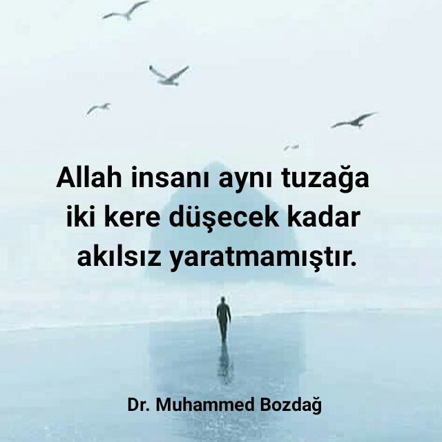 muhammed_bozdag's tweet photo. https://t.co/0Jtqzy4nCn