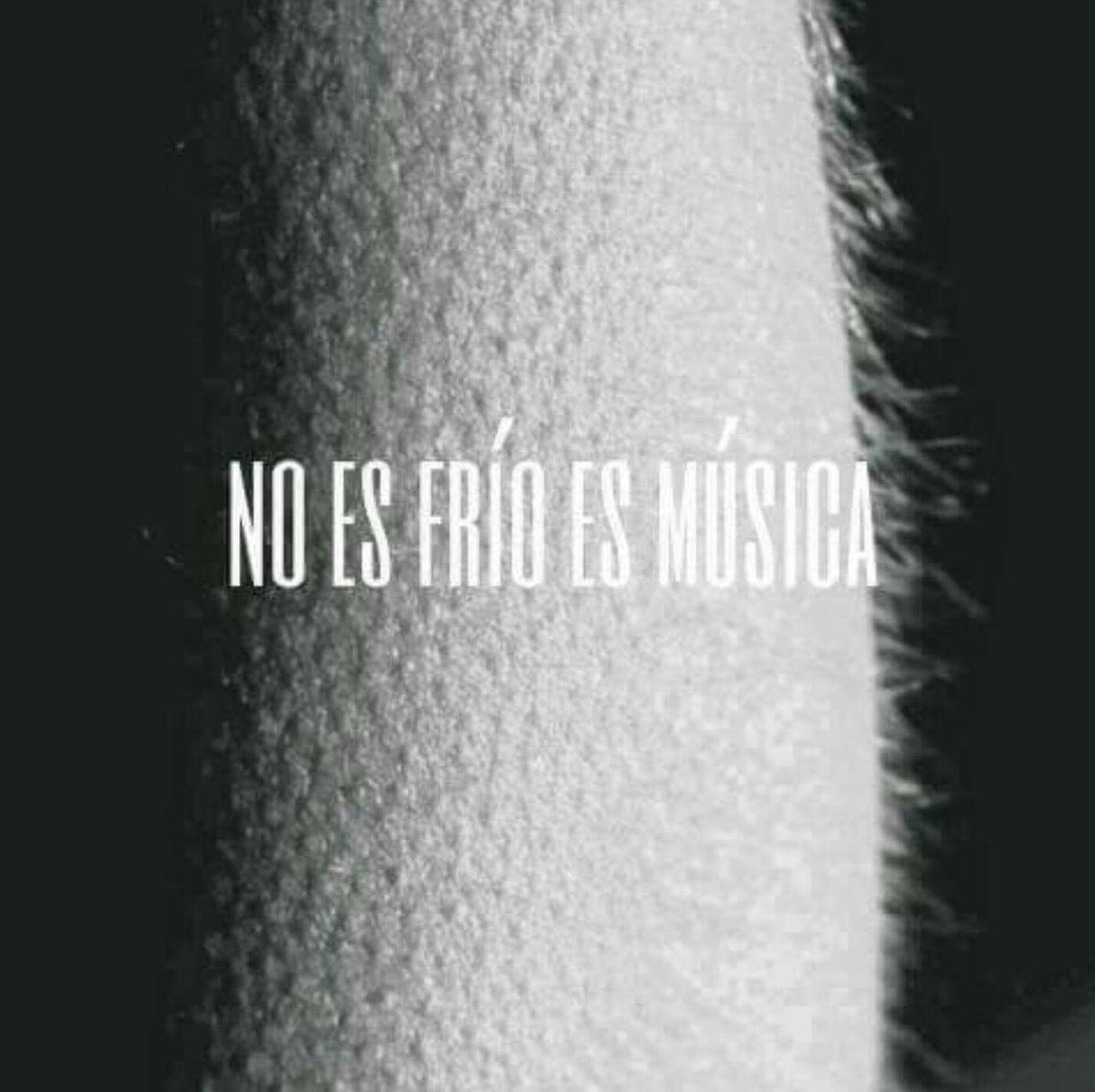 Feliz #DíaDeLaMúsica