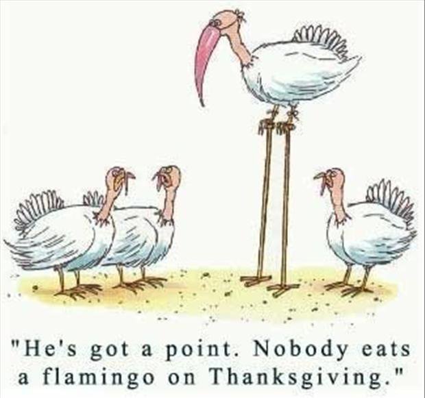 collisionworks's tweet photo. One... more... day..
#TurkeyDay #CollisionWorks #HumpDay
https://t.co/mIPfVgXKMf https://t.co/alGKrPMElS